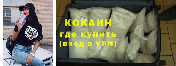 прущий лед Алзамай