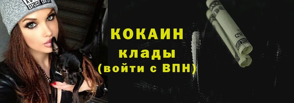 прущий лед Алзамай