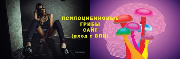 прущий лед Алзамай